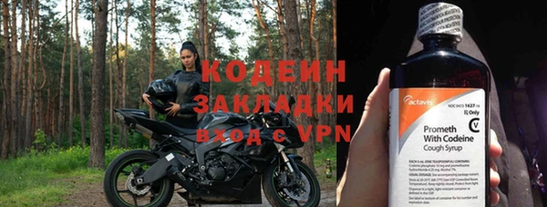молекула духа Алзамай