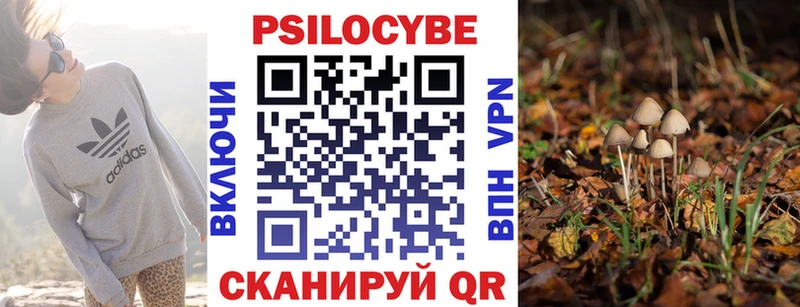 Галлюциногенные грибы GOLDEN TEACHER  Кола 